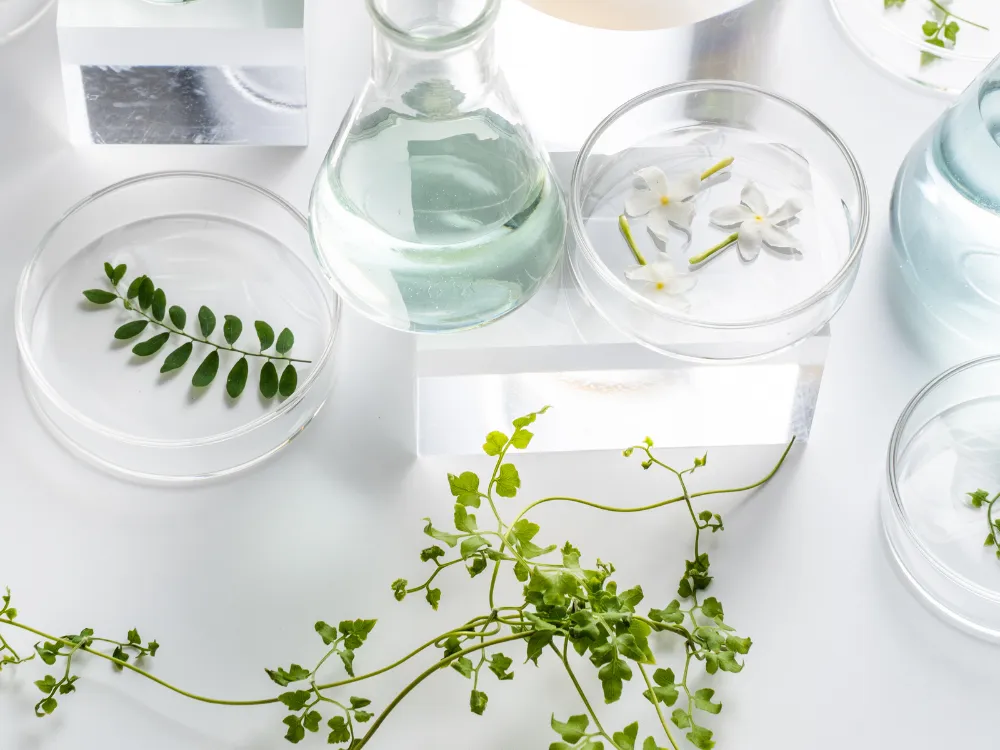 Ivy Fertility Showcases Innovative Research at 2025 Pacific Coast Reproductive Society Conference
