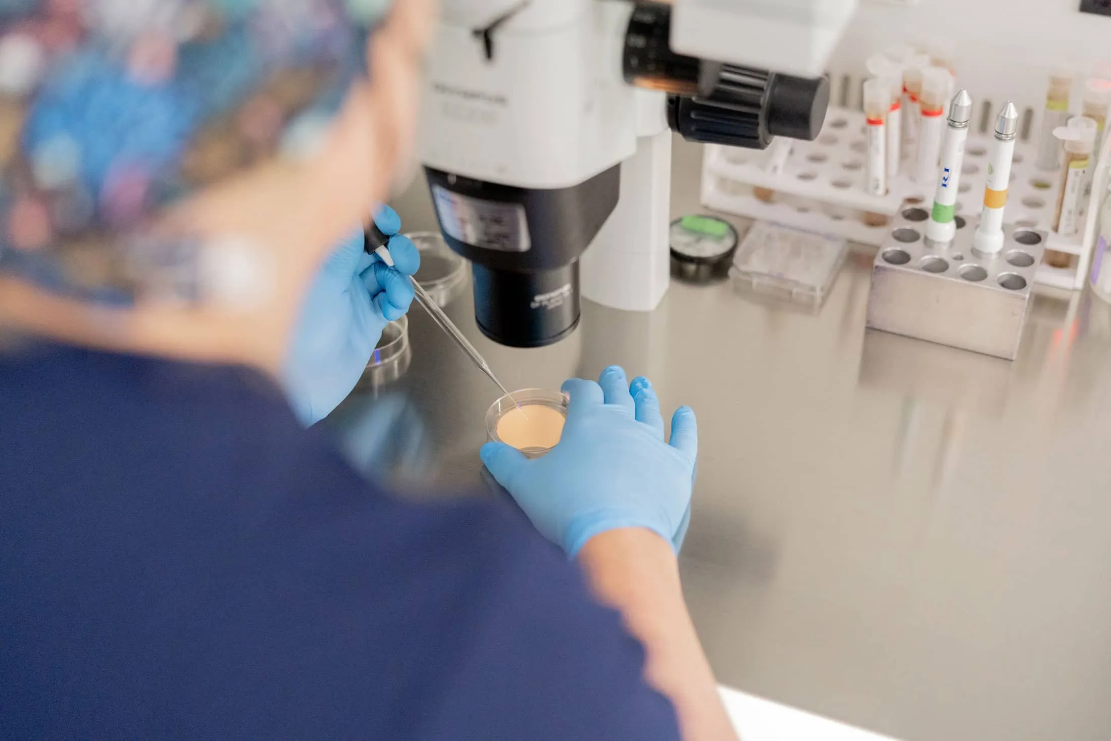Lab tech viewing samples
